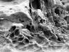 mars rocks